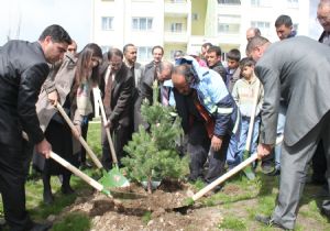 Palandöken'de yeşil çevre seferberliği
